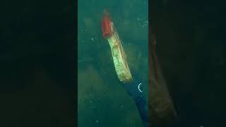 Found Fortnite Gun Underwater While Scuba Diving [upl. by Yolande]