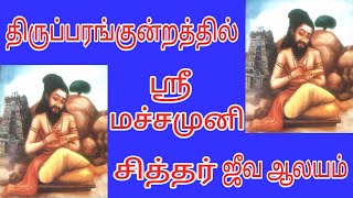 Machamuni Siddhar Jeeva Aalayam Thiruparankundramஸ்ரீ மச்சமுனி சித்தர்Mathura KoodalMadurai  TN [upl. by Griz437]