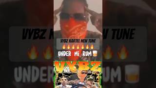 Vybz Kartel shares a preview of NEW tune lyric video 💪🏾💪🏾🔥🔥🔥vybzkartel dancehall reggae [upl. by Job]