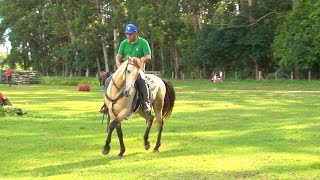 TV UC  4 exercícios para o cavalo ficar leve de boca [upl. by Naihtsirc]