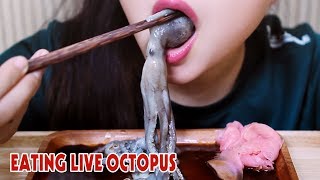 ASMR LIVE octopus challenge exotic food eating sound part 2LINHASMR [upl. by Einnim]