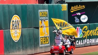 Oakland As Game Vlog vs Los Angeles Dodgers 2024 MLB Season [upl. by Drofxer34]