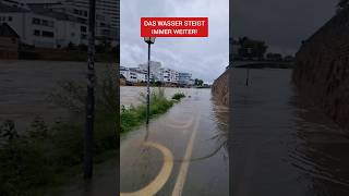 Extremes Hochwasser in Ulm Wasser steigt immer weiter [upl. by Ativet]