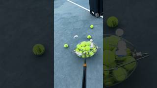 Tennis Ball Prodigy Easy Court Collection for All smalleyes funny clayseason claycourt [upl. by Naahs558]