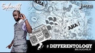 Bunji Garlin  Differentology quot2013 Socaquot Official Audio [upl. by Shepley]