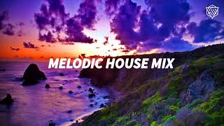 Melodic House Mix 2024 by Rayasa  Ben Böhmer Yotto Tinlicker Jan Blomqvist [upl. by Eire461]