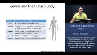 MCAT Identifying Classes of Levers in the Human Body Worked Example [upl. by Tressia2]