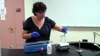 How to Perform an Endospore Stain [upl. by Ennahgem997]