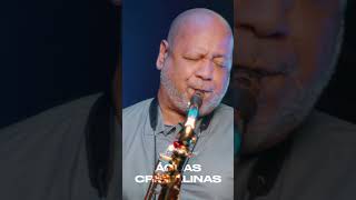 ÁGUAS CRISTALINAS Angelo Torres Instrumental Sax Cover shorts [upl. by Garibull]