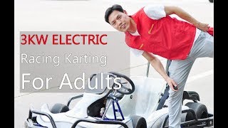 New 3000W 60V Lithium Battery Adult Electric Racing Karting EG3002 [upl. by Georgette]