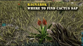 Ark Ragnarok  Where to find Cactus Sap [upl. by Edrahc]