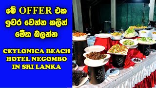 Negombo Hotels In Sri Lanka  Ceylonica Beach Hotel Negombo In Sri Lanka [upl. by Isnyl]