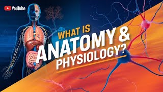 Anatomy and Physiology Explained  Benefits and Importance of Anatomy and Physiology [upl. by Weigle]