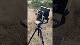 Shooting 4x5 in Ashdown Forrest [upl. by Meenen]