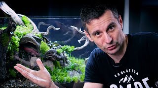 STUNNING PLANTED AQUARIUM LAYOUT  60P TUTORIAL [upl. by Albion]