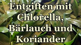 Natürlich Schwermetalle entgiften mit Chlorella Bärlauch und Koriander  Tinktur selber herstellen [upl. by Leizo]