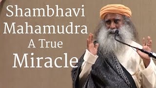 Shambhavi Mahamudra A True Miracle  Sadhguru [upl. by Enerod168]