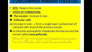 Revision Female genital system histology [upl. by Ambert]