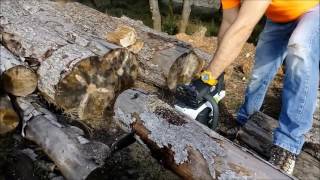 Sterwins 36V cordless CHAINSAW review [upl. by Hanavas]