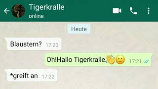 《WhatsAppchat》 zwischen BlausternFeuerherz und Tigerkralle 4 WARNING SPOILERWarrior Cats [upl. by Mellen470]