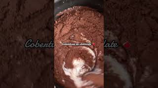 Cobertura de chocolate 🍫 coberturadechocolate chocolate [upl. by Ojimmas818]