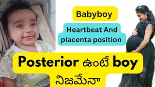 Baby boy All scan reports Heartbeat Placenta position [upl. by Ravi]