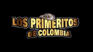 Quiza En Vivo  Los Primeritos de Colombia [upl. by Stag]