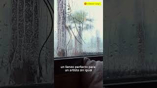 Lluvia para la mente reflexiva ASMR [upl. by Araid]