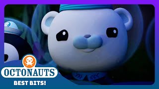 Octonauts  ☠️ All Aboard the Ghost Octopod Ship ⚓  Season 4  Best Bits [upl. by Roche]