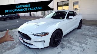 Reviewing The New 2019 EcoBoost Mustang [upl. by Anytsirhc]