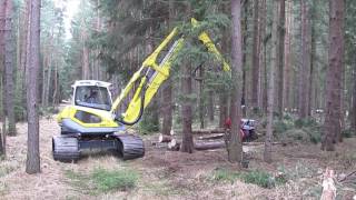 Menzi Master M515 beim Fällen  cutting a tree [upl. by Eilyab559]