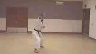 Kyokushin Karate Kata Pinan 3 San [upl. by Sirah]