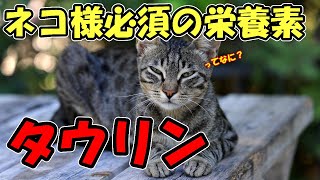 タウリンとは、なんなのかを調べてみました。【ゆっくり薬物】 [upl. by Dickey]