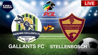 Marumo gallants fc vs Stellenbosch fc football live match 🔴 [upl. by Enail747]