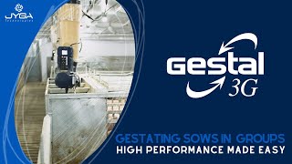 Understanding GESTAL 3G Feeding System for Optimal Sow Welfare [upl. by Jermaine]