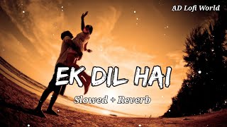 Ek Dil Hai ❤️  Lofi  Slowed And Reverb   Alka Yagnik  Kumar Sanu  Ek Rishtaa  Lofi Songs [upl. by Sheeran]