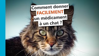 Comment donner facilement un médicament à un chat [upl. by Islek]