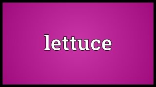 Lettuce Meaning [upl. by Aela]