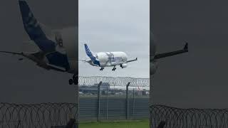 Airbus Beluga Xl landing in to heathrow aviation planespotter heathrow [upl. by Edwin856]