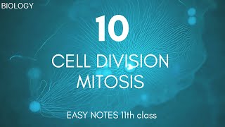 class 11th BIOLOGY chapter 10 cell division  MITOSIS  clear notes science biology notes new [upl. by De]