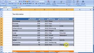 Excel Tabelle erstellen [upl. by Ely581]