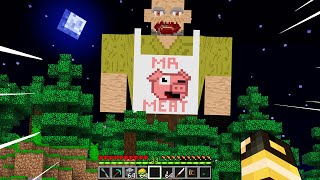 HO INCONTRATO MR MEAT NEL MIO MONDO DI MINECRAFT [upl. by Cornew356]