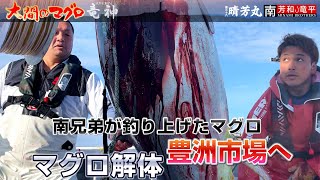 大間のまぐろ 竜神［第4巻豊洲市場出荷］解体 マグロ漁師 晴芳丸 南兄弟 死闘の決戦 冬の陣 巨大鮪を追いかける 延縄漁 釣り 漁船 おおま りゅうじん まぐろのさばき方 [upl. by Ahsille733]