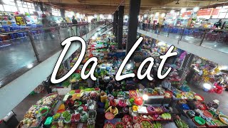 Da Lat market walking tour Vietnam Street Walk 2024 [upl. by Einad326]