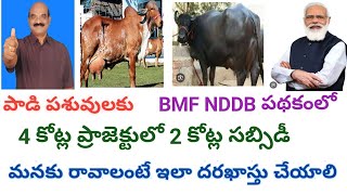 How to get 2 crores subsidy of 4 crores in Breed Multiplication FarmNDDB for Dairy Farming Telugu [upl. by Donelle]