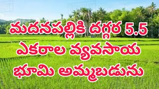 Agriculture Land For Sale Near Madanapalle agriculture agriculturelandsforsale landforsale [upl. by Charpentier]