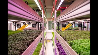 Introducing Tungsram Vertical Farming [upl. by Dasi]