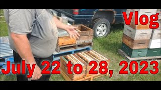 ⏱ Vlog July 22 to 28That Bee Man [upl. by Nilatak]