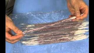 Muscle Anatomy Plastic Wrap Teaching Tip Video [upl. by Lokin]