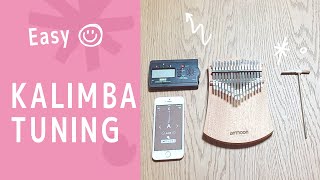 Kalimba Tuning Easy Tutorial for Beginners [upl. by Scarito161]